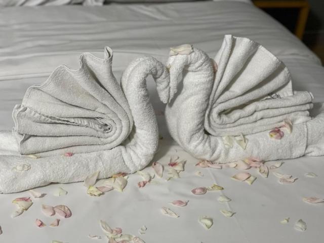 Hotel Bentley Schaerbeek Luaran gambar